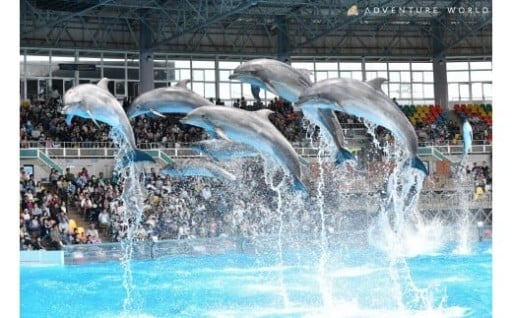 白浜町ふるさと納税 アドベンチャーワールド入園引換券 大人 （18歳上） ペアチケット