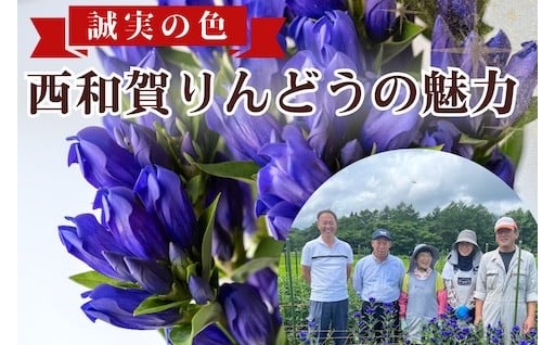 【期間限定】誠実の色「西和賀りんどう」の魅力