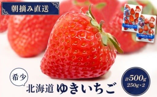 【受注後、随時発送！】【北海道産】ゆきいちご（紅ほっぺor恋みのり） ２Pセット