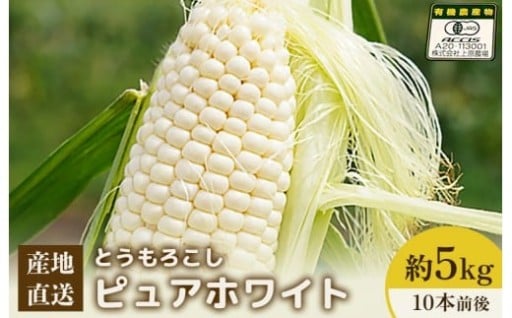 【先行予約】上原農場直送　有機栽培とうもろこし (ピュアホワイト) 約5kg