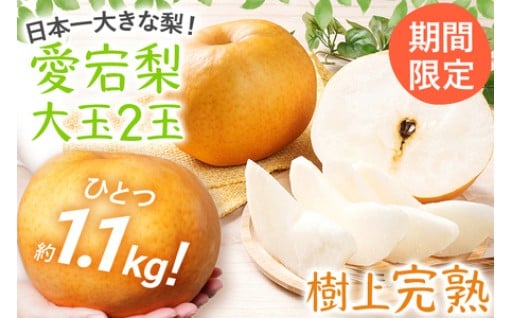 【数量限定】愛宕梨 大玉2玉