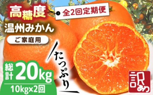 甘さが詰まった南島原の温州みかん 定期便