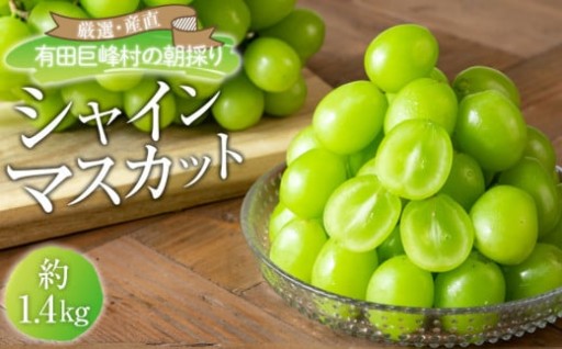 シャインマスカット 約1.4kg (2房～4房) 有田巨峰村 【朝採 新鮮】 