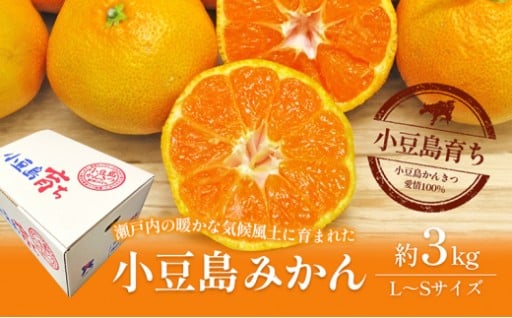 先行予受付中！小豆島みかん 約3kg 