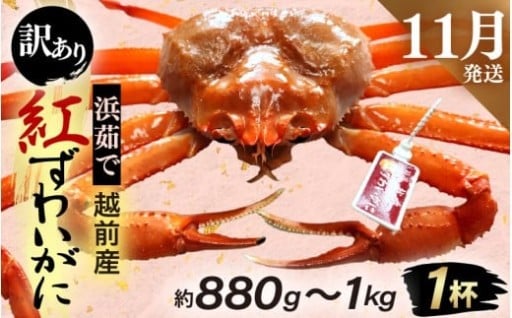 【訳あり】しっかり食べ応え！訳ありだけど旨い！
