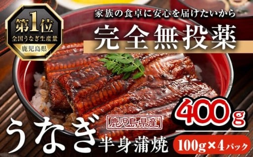 鹿児島県産うなぎ半身カットセット