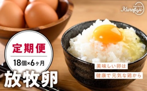 6ヵ月定期便　平飼い鶏の放牧卵 18個×6ヶ月
