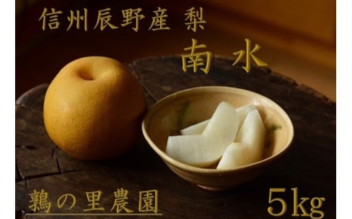  先行予約 梨 南水 5kg 【鶉の里農園】