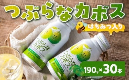 😁大人気の「つぶらなカボス」✨