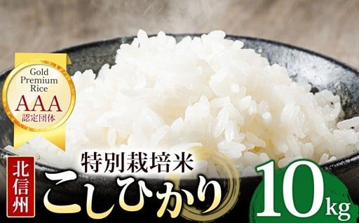【先行予約】木島平産 コシヒカリ  約10kg 