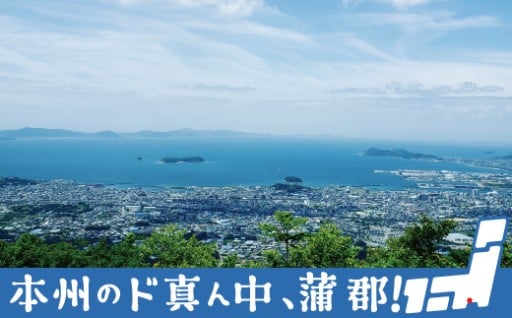 蒲郡市の魅力が詰まったお礼の品の数々をご覧ください！