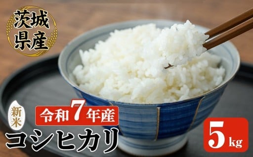 【先行予約】 常陸大宮産 コシヒカリ 5kg