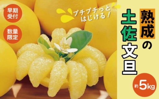 ✨受付再開しました✨リピーター続出の【熟成文旦】🍊