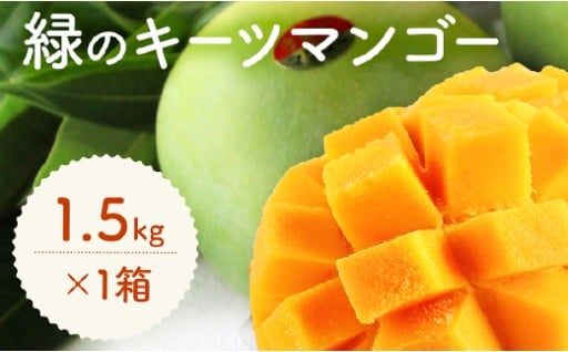 緑のキーツマンゴー1.5㎏以上　8月〜9月頃発送