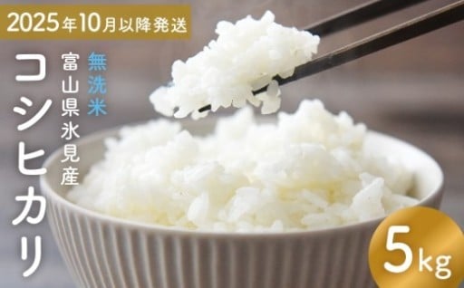 【先行予約】コシヒカリ 無洗米 5kg 富山県氷見産 ＜2025年10月以降発送＞ 