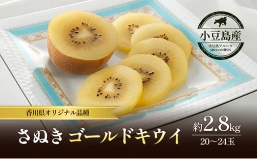 先行予受付中！さぬきゴールドキウイ約2.8kg