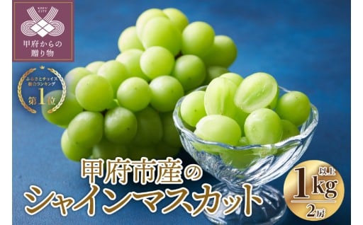 〈2026年度配送分〉シャインマスカット 2房