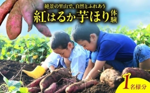 別府の恵みを手で掘り起こす楽しさを！！