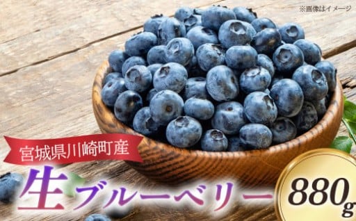 自然栽培にこだわった 生ブルーベリー 880g