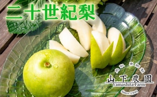 二十世紀梨初出荷です。