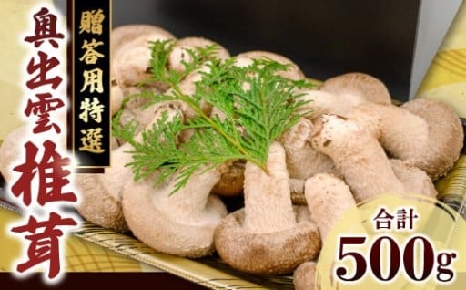 「奥出雲椎茸」贈答用特選 500g