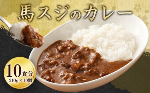 馬スジのカレー 10食 セット 合計2.1kg