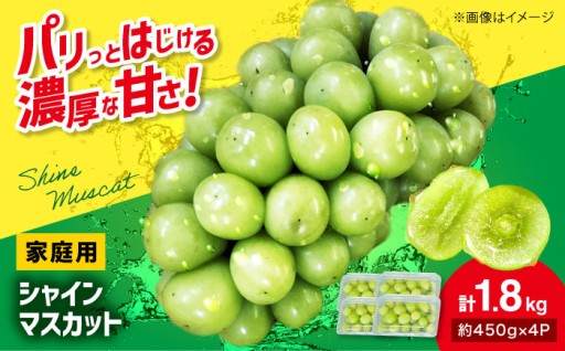 パクパク食べたいあなたに！