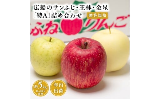 青森県産 贈答規格 広船のサンふじ・王林・金星 約5kg 詰合せ「特A」