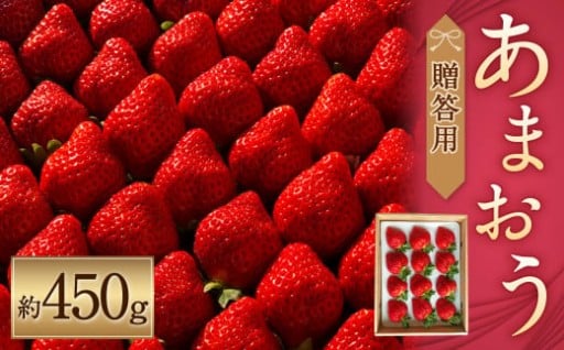 化粧箱入 特別栽培の濃厚完熟あまおう約450g 