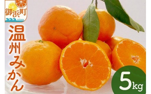 【小さな農園から美味しいみかんを🍊】北東農園の温州みかん5キロ