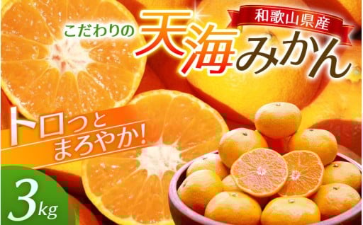 中山農園自慢の 天海みかん 完熟宮川早生3kg