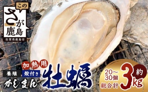 【先行予約】有明海産 すみのえ牡蠣（養殖・加熱用）殻付き 3kg C-114