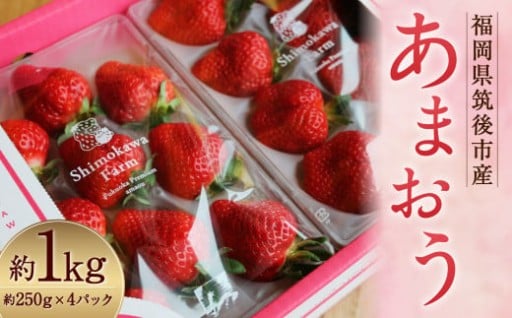 特別栽培 の 濃厚 完熟 あまおう 約1kg