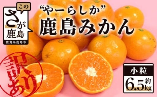 【訳あり】【先行予約】高評価4.5以上！やーらしか鹿島産みかん 6.5kg｜【数量限定】AA-6