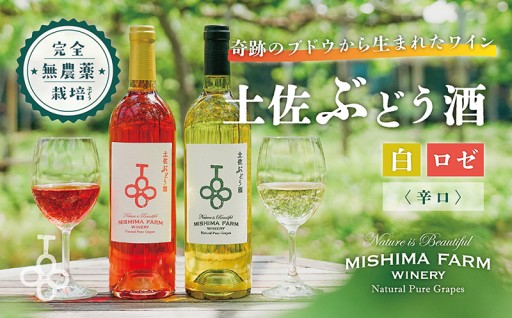土佐ぶどう酒　750ml