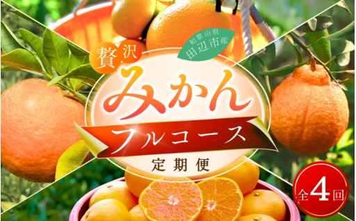 【4回定期便】和歌山 贅沢みかんフルコース （宮川早生みかん・ポンカン・紅八朔・不知火） 