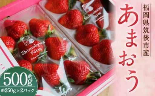 特別栽培の濃厚完熟あまおう 約500g