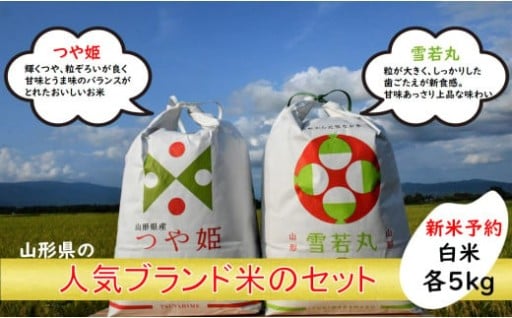【新米予約】つや姫、雪若丸 白米セット（つや姫、雪若丸 各5kg）（飯豊町産）