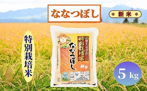 令和7年度産の『新米』『玄米』の先行予約ずどーーーんっと開始しました