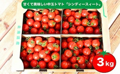 【今が旬！】甘くて美味しい中玉トマト「シンディースイート3kg」
