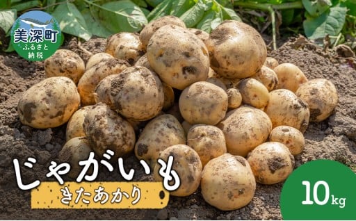 【本日〆切】北海道美深町産　じゃがいも（きたあかり）10kg