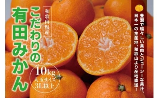 ＼数量限定で復活！！／ ほんまもんの有田みかん🍊