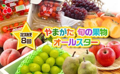【定期便8回】やまがた 旬の果物オールスター🌟