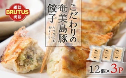 🥟奄美島豚を贅沢に使用！こだわりの奄美島豚餃子のご紹介🥟✨