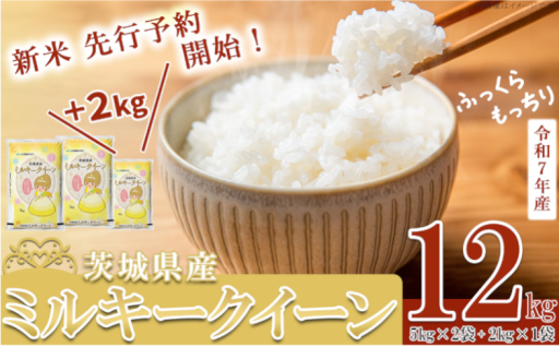 先行予約 始めました！令和7年産 新米 茨城県産 ミルキークイーン 12kg