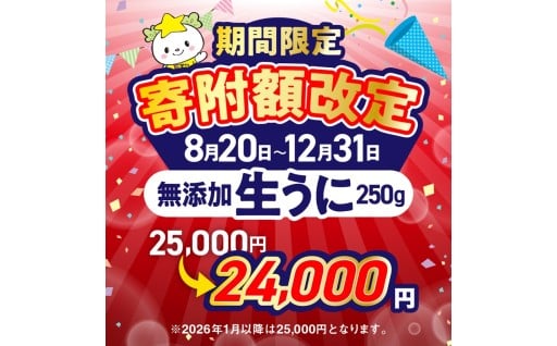 【2026年発送先行予約】 高評価 無添加 生うに 250g 塩水パック