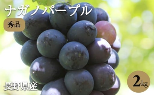 長野県産 種なし ナガノパープル 約2kg 秀品