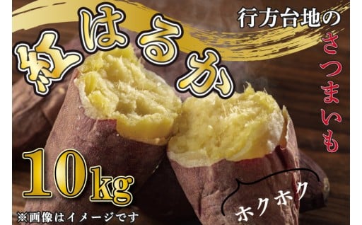 【2025年10月より順次発送】★訳あり★ 無選別 行方台地のさつまいも 紅はるか 約10kg