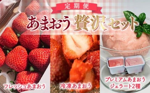 いちご好きにお勧め！定期便でたっぷりご堪能下さい