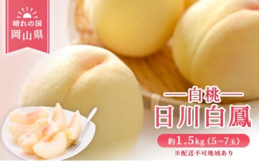 岡山県産 日川 白鳳 （白桃） 約1.5kg（5～7玉） 《2026年6月下旬-7月上旬頃出荷》